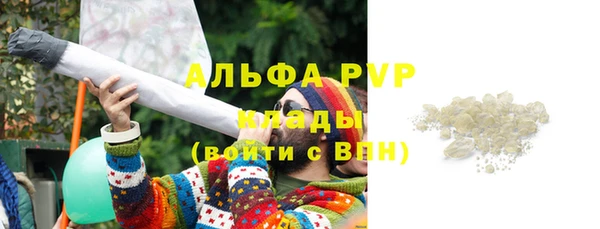 шишки Дмитров
