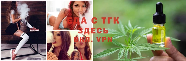 мдпв Дмитриев