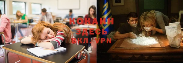 шишки Дмитров