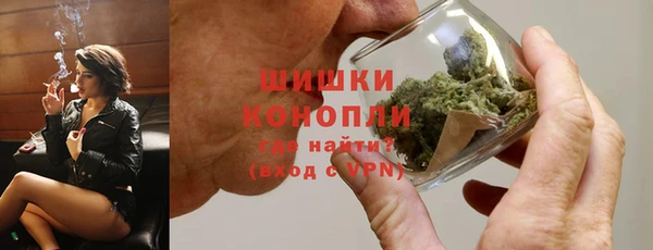 шишки Дмитров