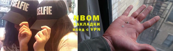 шишки Дмитров