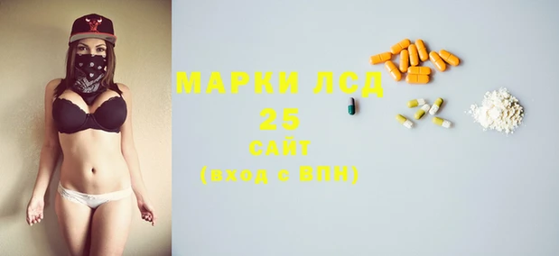 мдпв Дмитриев