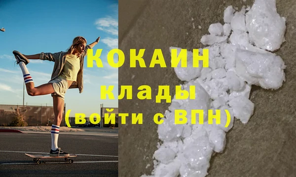 шишки Дмитров