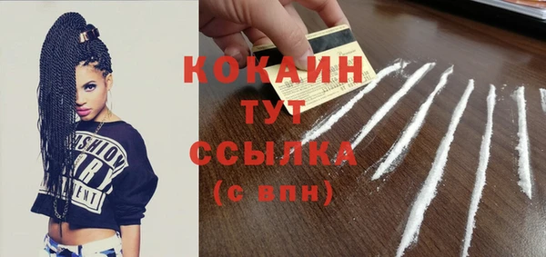 шишки Дмитров