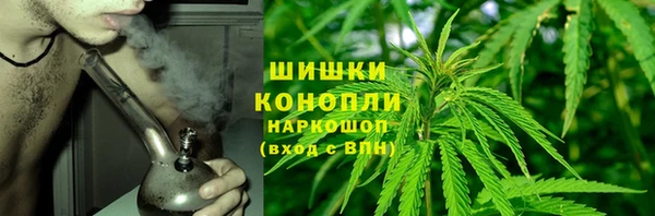 шишки Дмитров