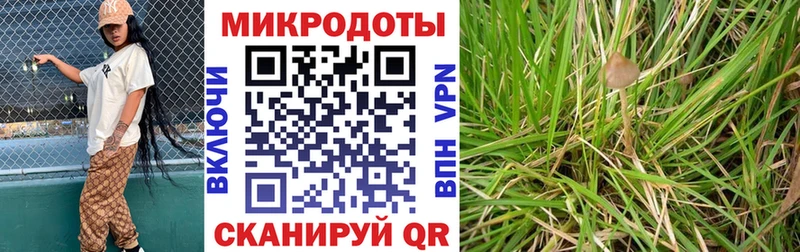 площадка Telegram  Фёдоровский  Псилоцибиновые грибы мухоморы  MEGA вход 